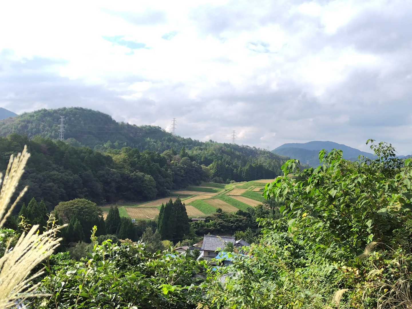 にほんの里百選『宕院の棚田』
樒原は美しい山里でした✨