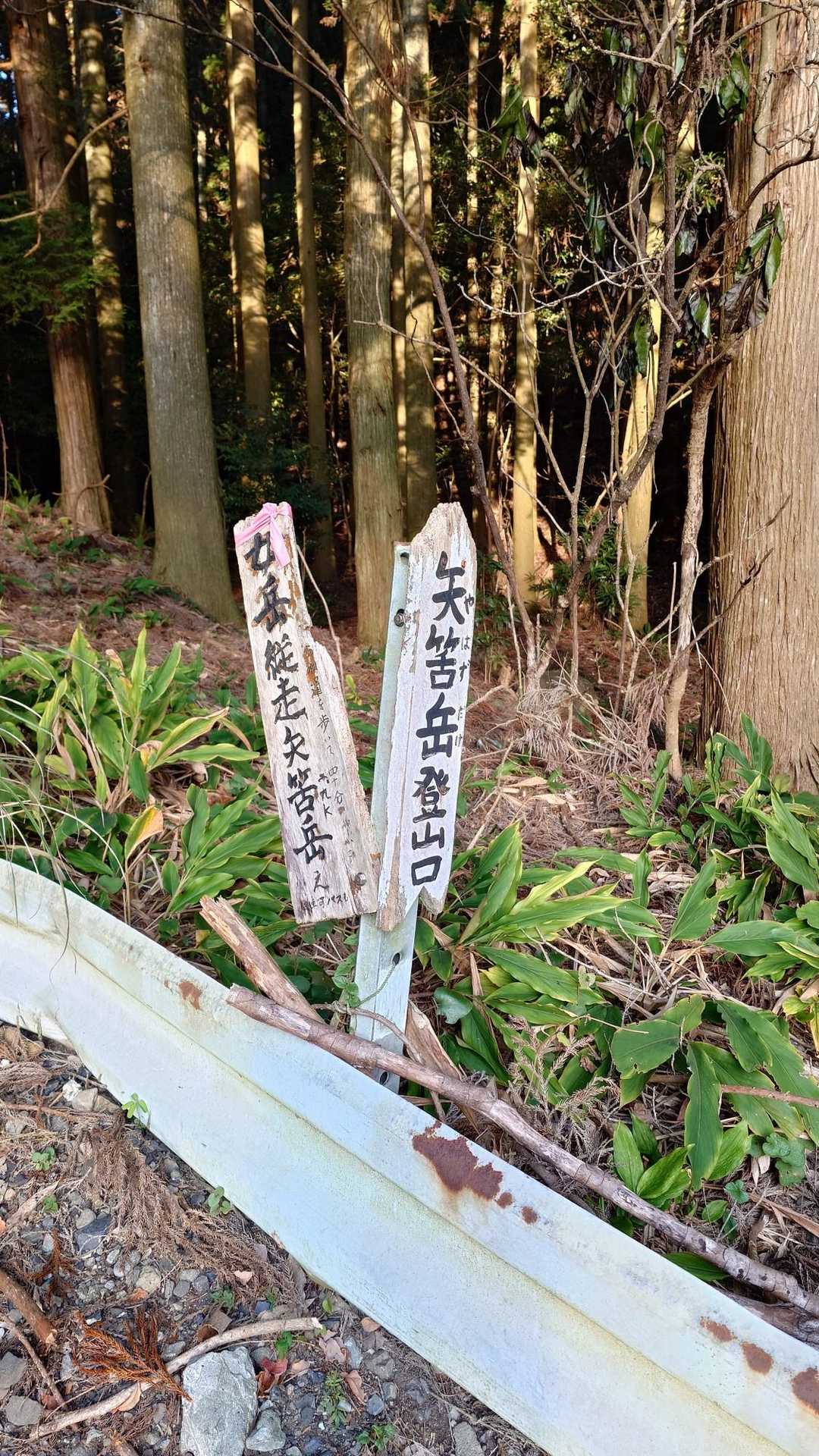 お疲れ様🤗

おかわりは、水俣市最高峰の山へ⛰️