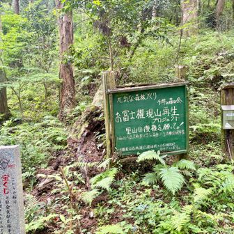 登山口のある五所駒瀧神社に到着！
今日もありがとうございました🙏😊