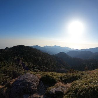 屋久島の山深さを実感