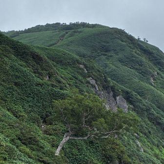 銚子ヶ峰頂上