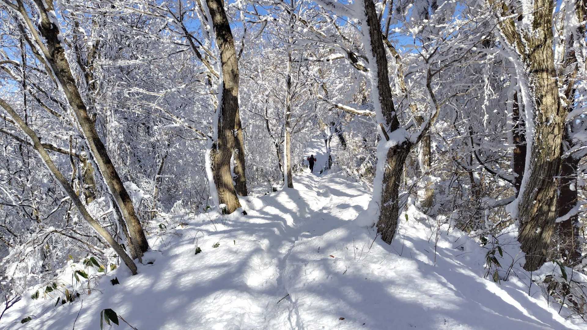 走るように降りていきます