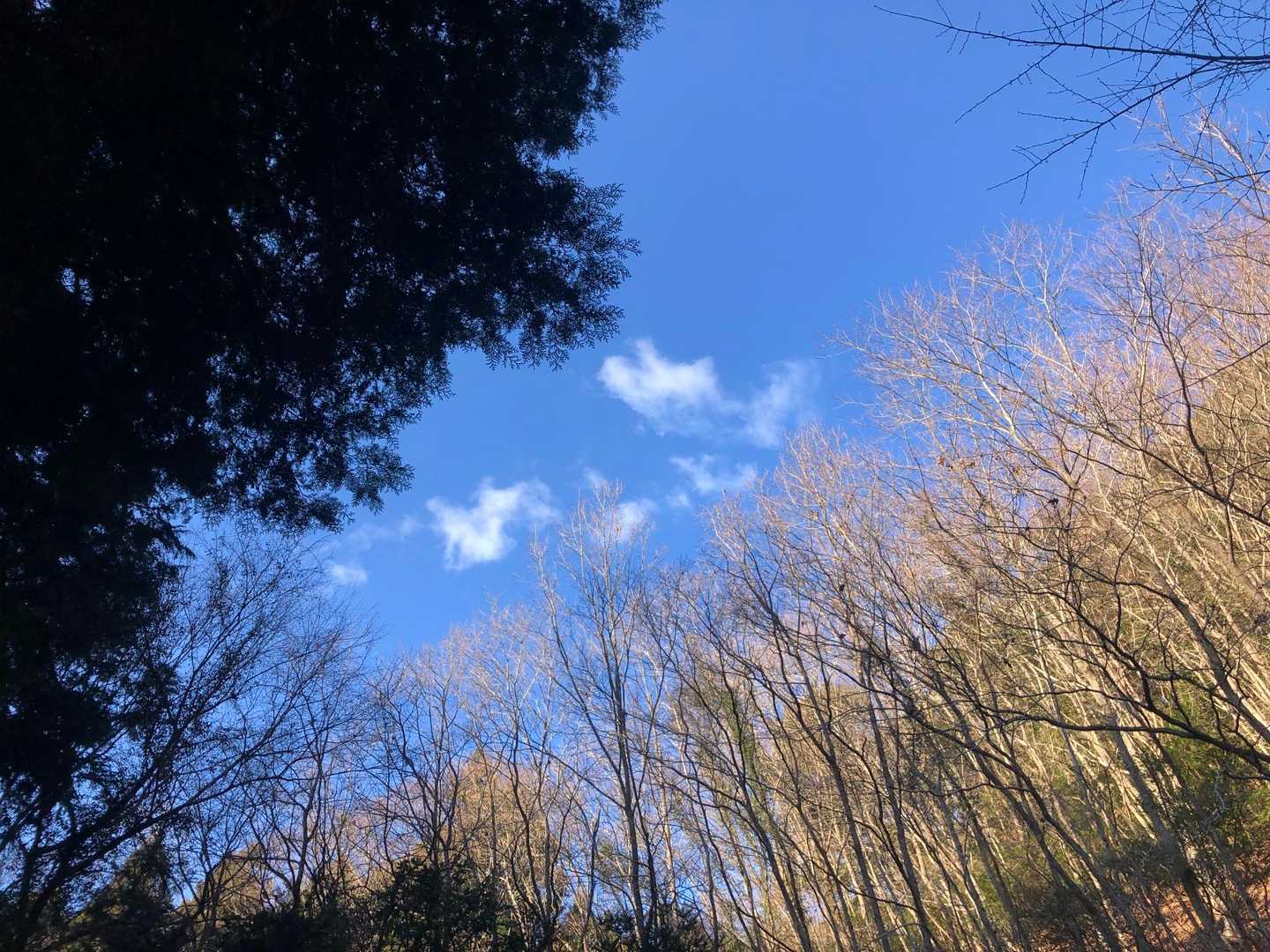 良い天気☀️で風はほぼ無い👍