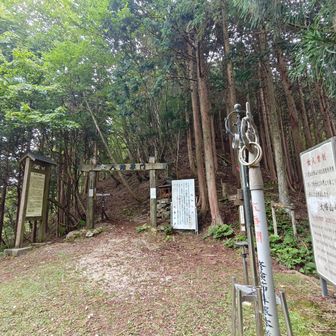 五番関到着
振り返ったとこ、ここから右側の登山道で下りまーす🚶💨