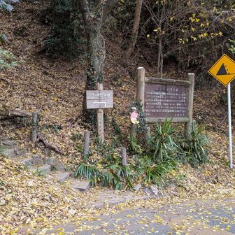 次男から
お母さん歩くの速くなったねと
褒められる。
うちの子たちみんな歩くの速い。
どうにかついていけるようになった😅
けど、まだ息子たちの方がスピード速くて
こちらはゼーゼー言ってます笑
若さにはかなわん。