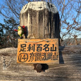 8座目 彦間浅間山 339m 🐸いい感じ