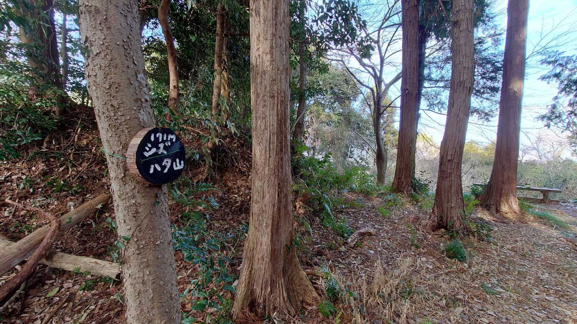 賤機山 171m