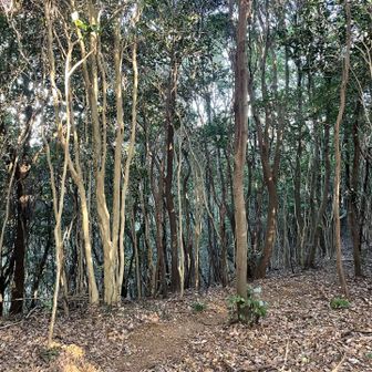 空間が歪んでいた気がする