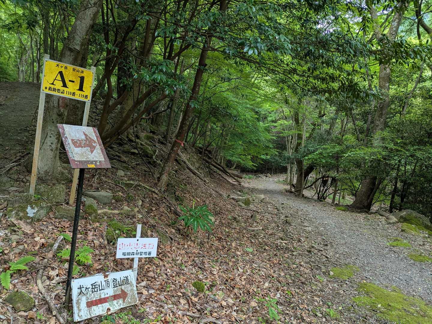 求菩提資料館前バス停-釈迦岳-犬ヶ岳-世須岳-求菩提山 周回コースの写真