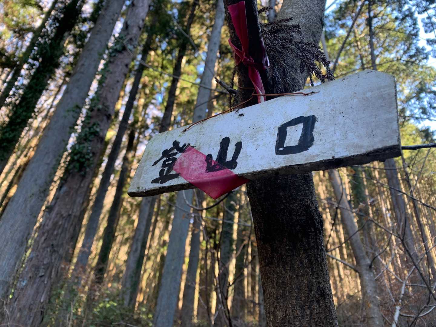 登山口？