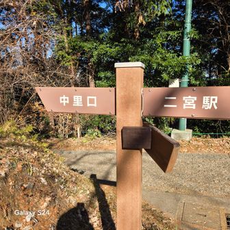菜の花に富士山、たっぷり楽しんで中里口に下山します
