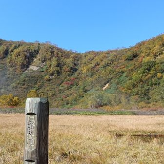 噴火口の長助池でございます。カルデラになっています