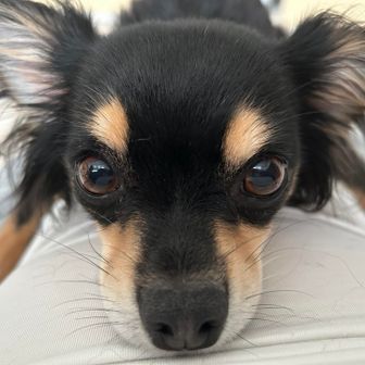 yuri aozora.yoga_tanzawa