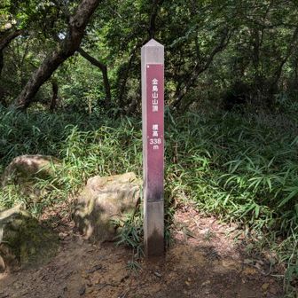 金鳥山
展望はないけど、ただの山頂ではない神秘的な雰囲気を感じます🤔