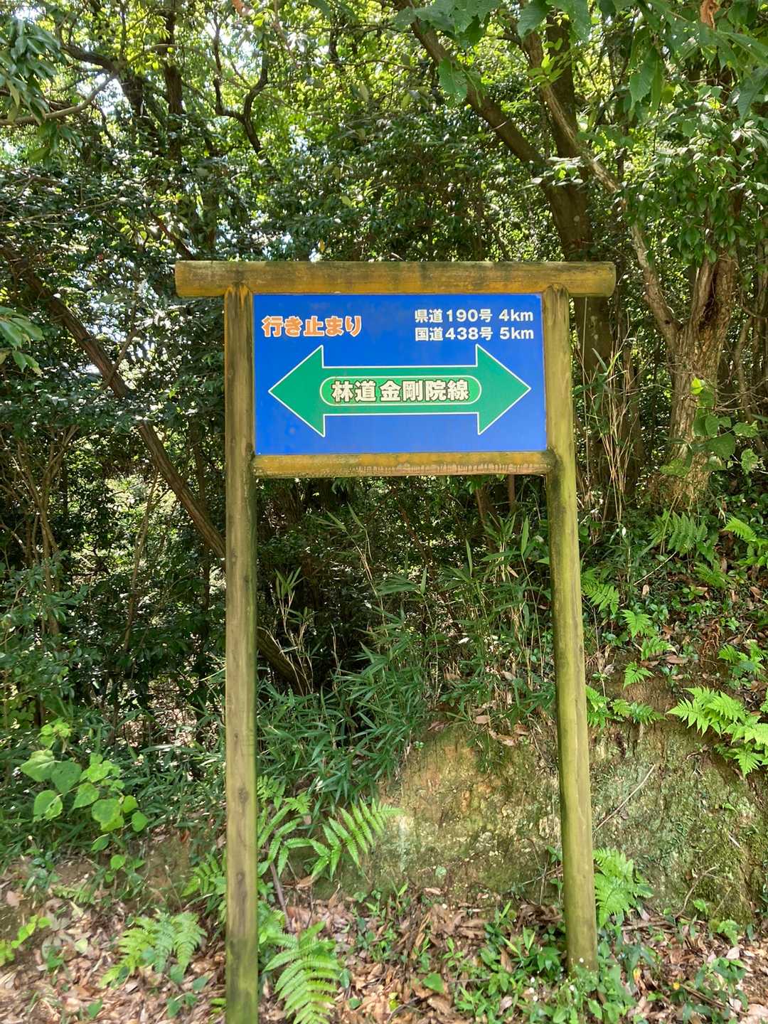 大高見峰 往復コースの写真