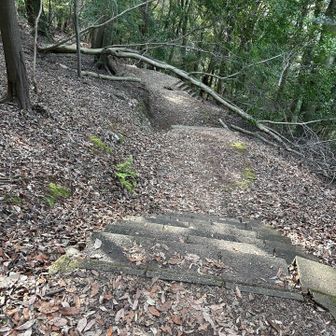 一度下山します