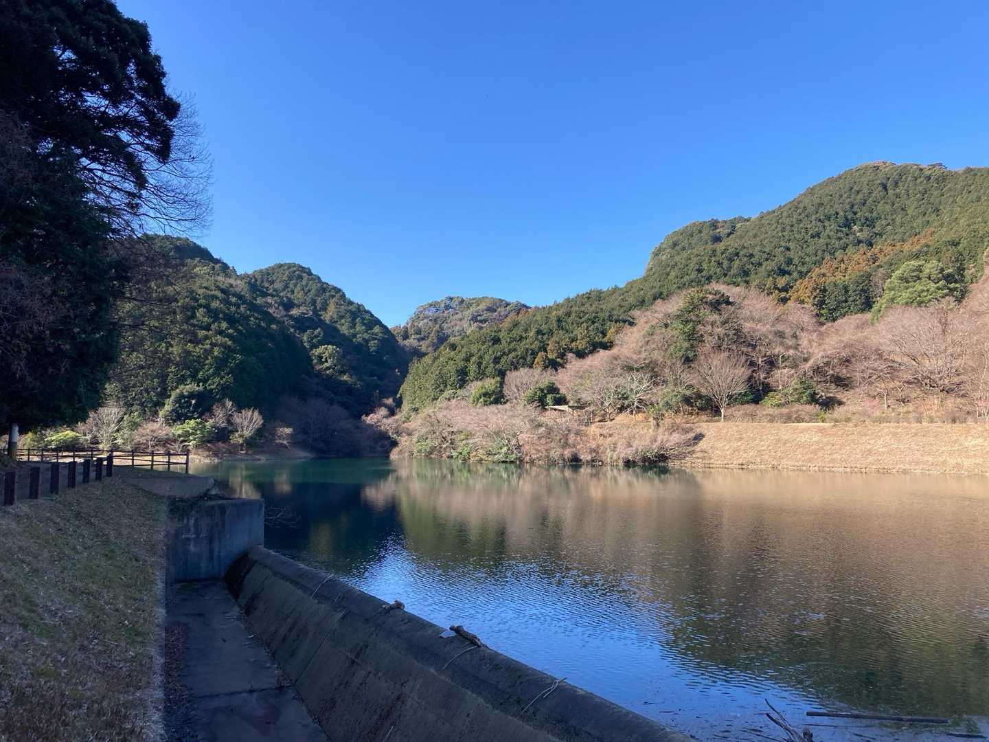 大目配-薬王寺峠-京王山-久山-妙見山 周回コースの写真