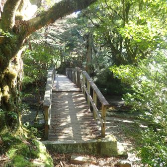 淀川を渡ります