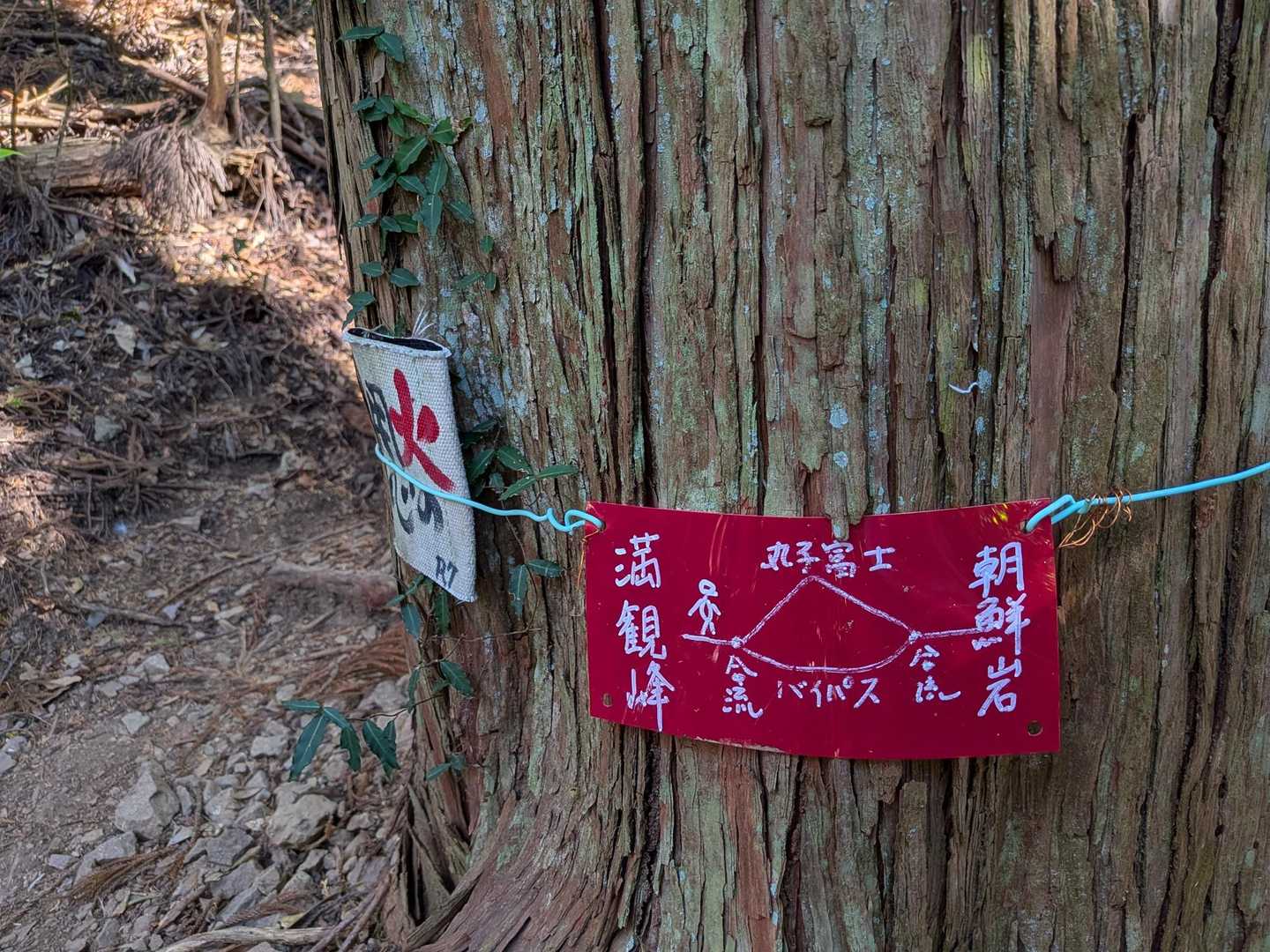可愛らしい案内板💓