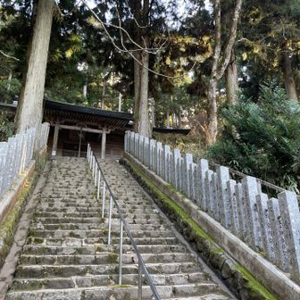 だ〜れもいない