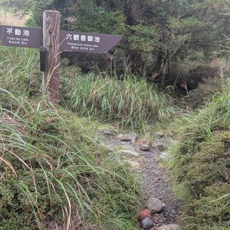 分岐に出ました
ここからテクテク歩きです🚶
六観音御池でスマホ📱不具合になってしまい、軌跡取れませんでした😌
が、
初秋の山活楽しめて良かったです✨🎶
