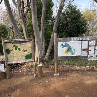 東生田緑地の日向山山頂🫢