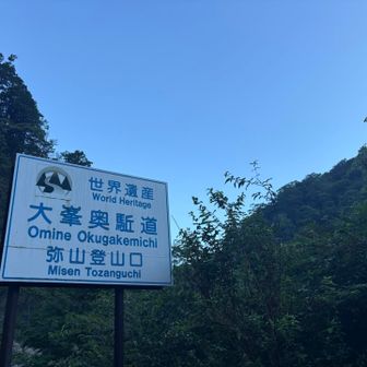 酷道を走り、ぐいぐい坂道上がって🚙
もう山頂に着くのでは？なんて思ったけど、そんなに甘くはない