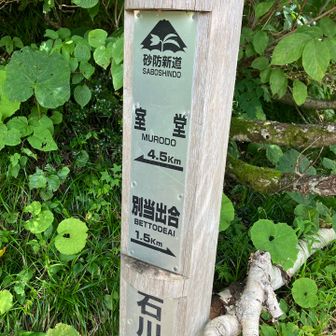 道標は沢山あってわかりやすい