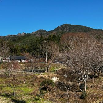 無事下山！

変化に富んだお山⛰️で楽しめました😊

お疲れ山⛰️でした🍀