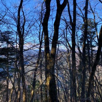 木々の間から垣間見える特徴的な山はなんだろ