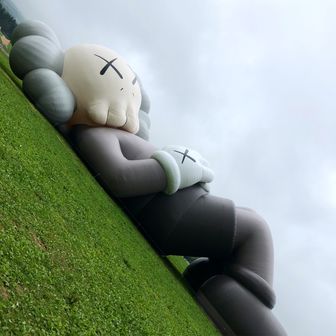 Dharma Bums Hiking Club