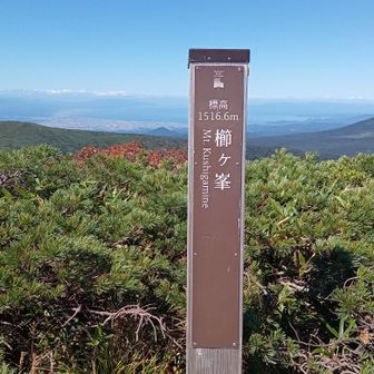 櫛ヶ峰の標柱を撮り忘れていました。さすがに熊さんもここまでは来ないのか、全くかじられていません。
もう一度ぐるっと見渡して下山開始しました。
