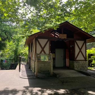 トイレも完備でありがたい🙏