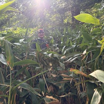 そして背丈以上の笹藪をかき分けて進みます🌿
一体自分はどこを歩いている？この先さらに笹の密度が増してラビリンス状態に😱