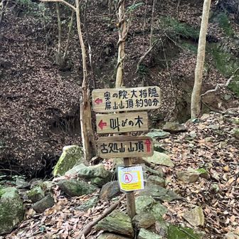 登りは奥の院経由で歩きます