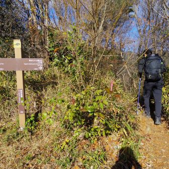 悩んだ末、北山コースを進みました。