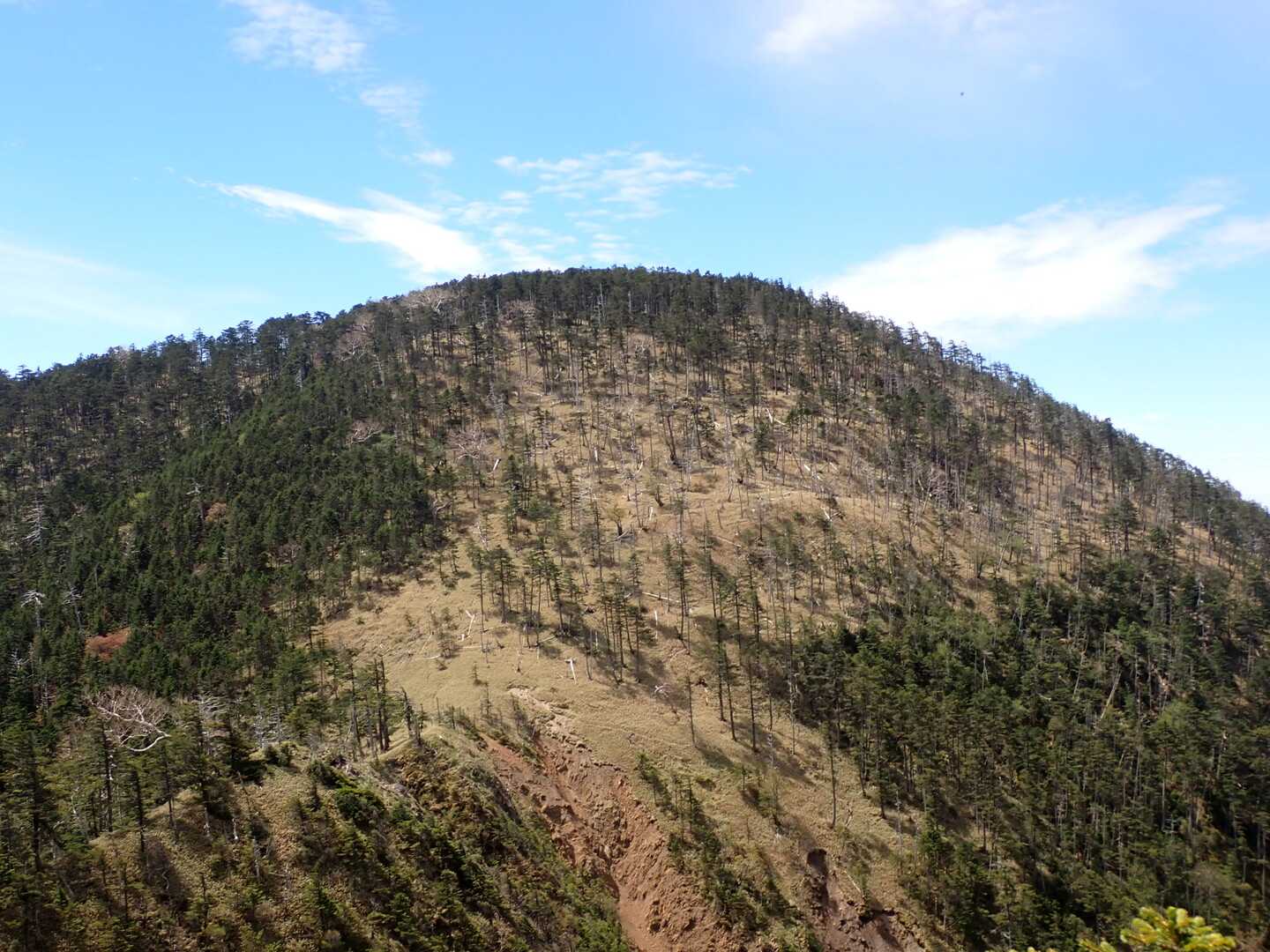 中ノ尾根山の写真