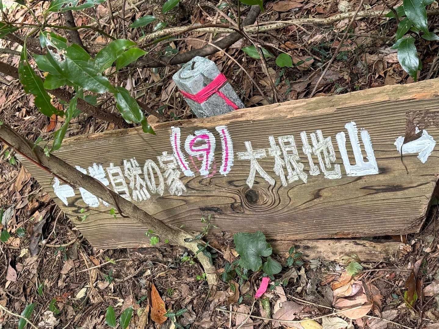 うー