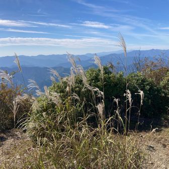秋🌾ですねぇ〜👋