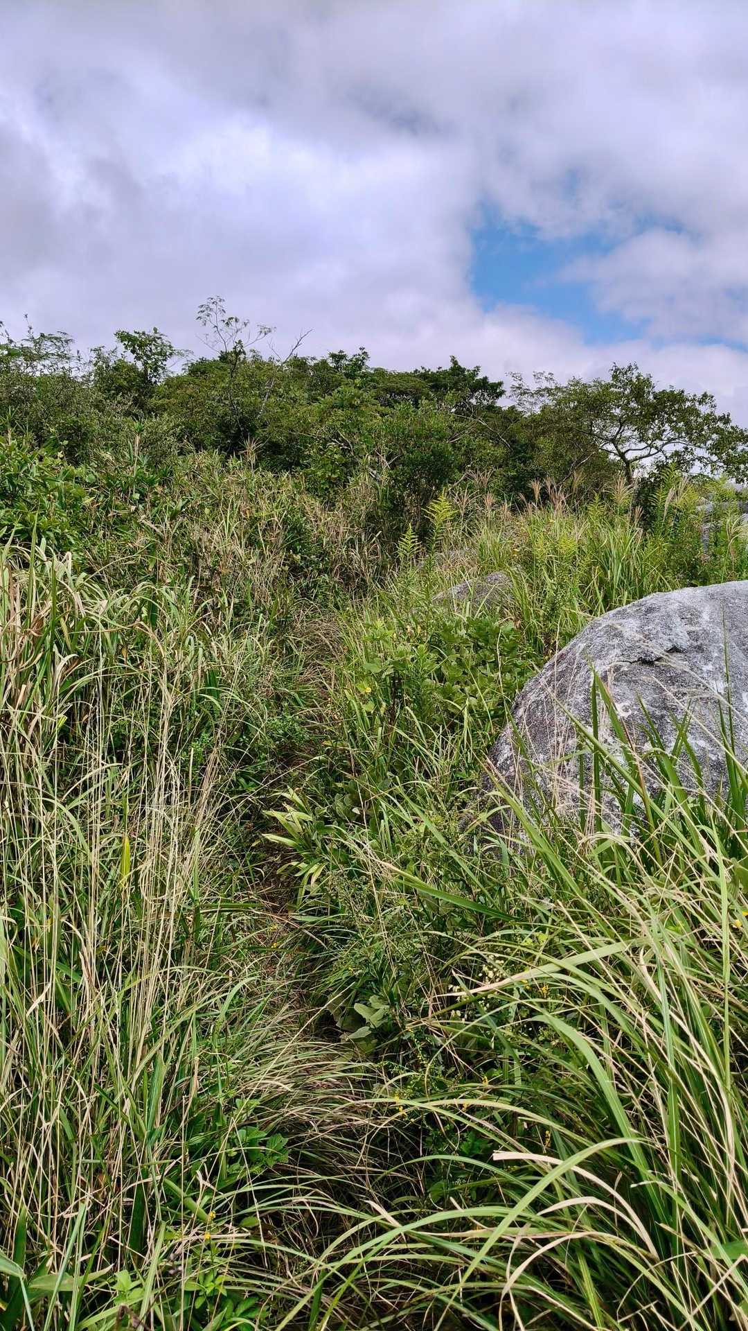 薮がすごくて道が見えなくて、怖くなって引き返した💧‬