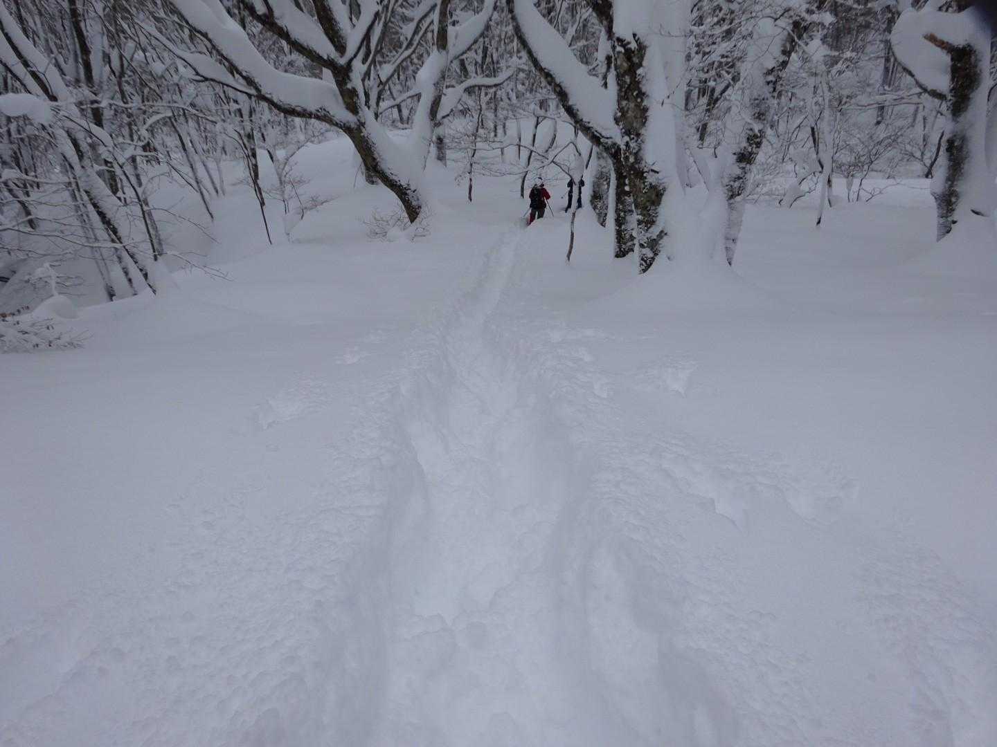 頑張りました😤