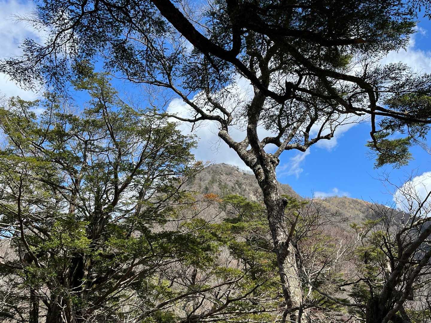別府峡登山口-石立山-日和田登山口 縦走コースの写真