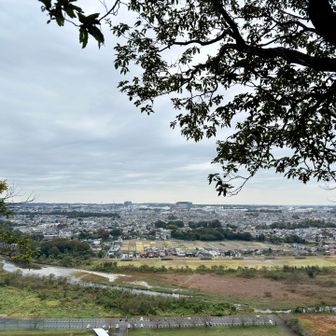 自分の足で稼いだ高度からの景色は、やはり絶品なり。
多摩川と羽村市街。