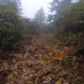 もう少しで山頂