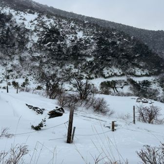 くろがね小屋があった場所。今は建て替えで真っさらになってました。
ここでランチしてアイゼン着ける。ここまではツボ足で問題なかった。