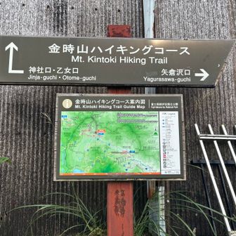 しっかり標識があります