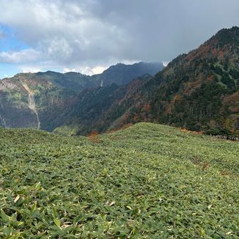 疲れて振り向くと石鎚山🏔️😁