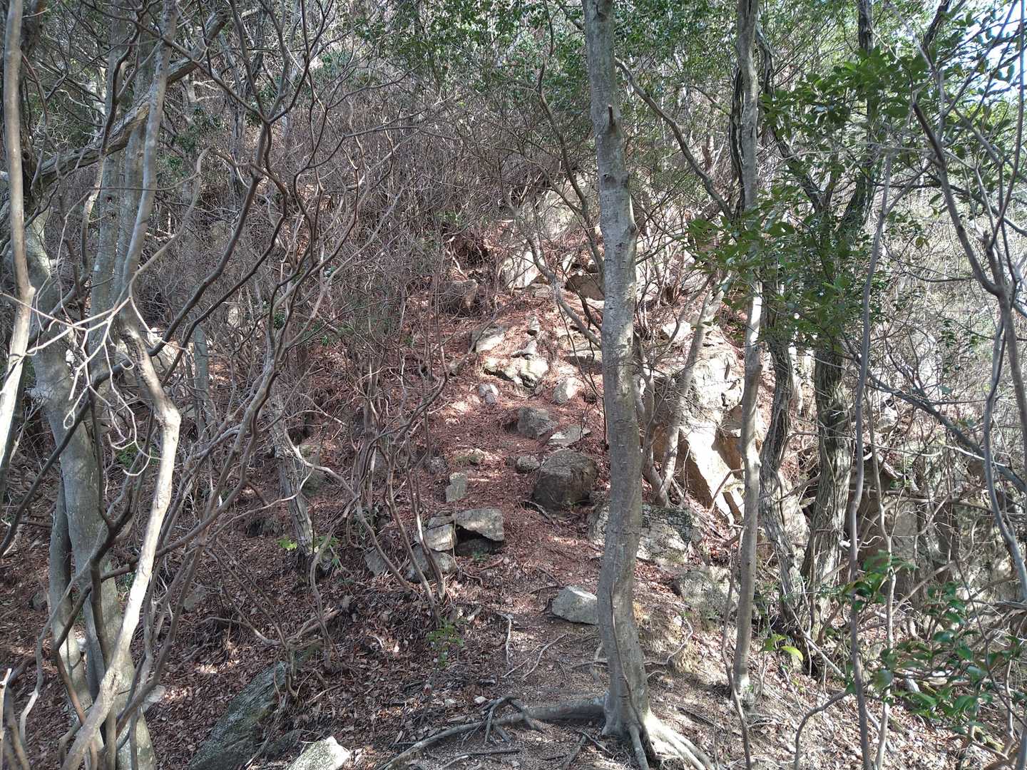 石の尾根道