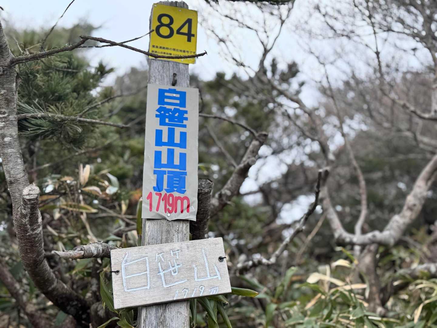 白笹山🏔️ピストンなので
少し休憩モグモグしていると、何か降ってる🤔❗️雪‼️寒いワケだよね💧
1人男性の方が下りてきて、話を聞いたら上は真っ白で何も見えないので途中で戻って来たって😅安全第一ですね