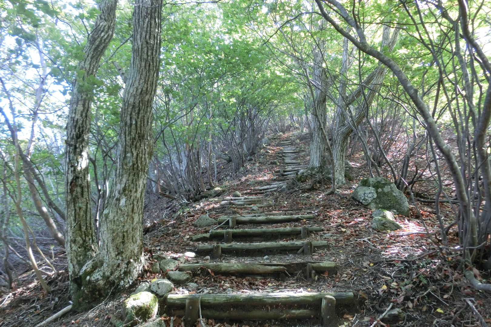 一段一段登ります、ここちいい階段です。